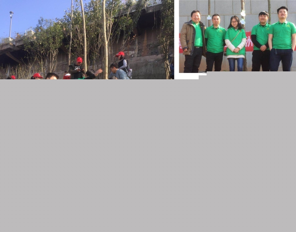 新西蘭智閣板材 “新西蘭智閣板材”